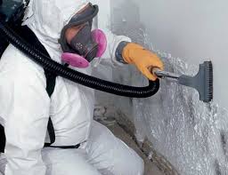 Best Real Estate Mold Inspection  in Holmes Beach, FL